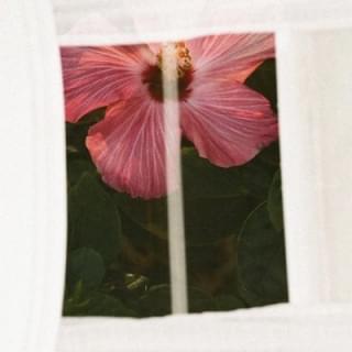 Pass the Hours by MorMor