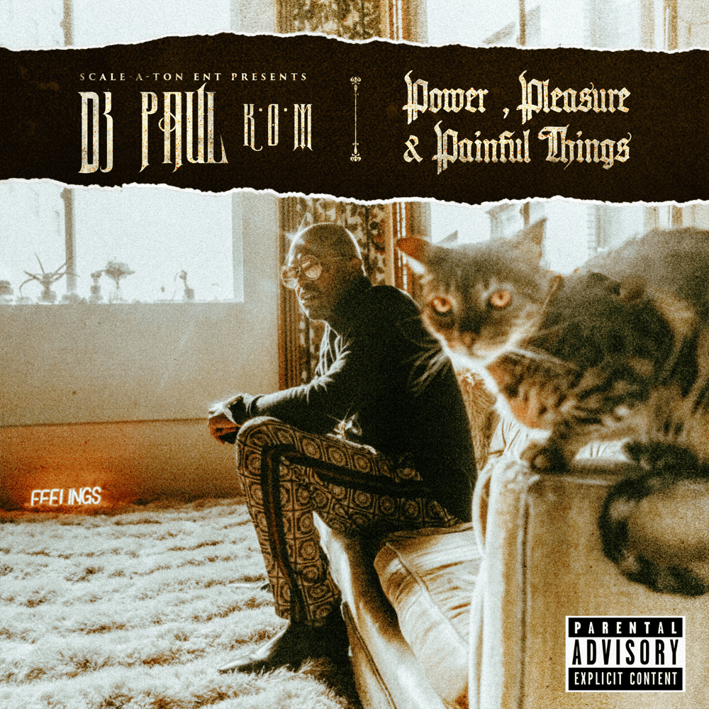 Cover image for Power, Pleasure & Painful Things