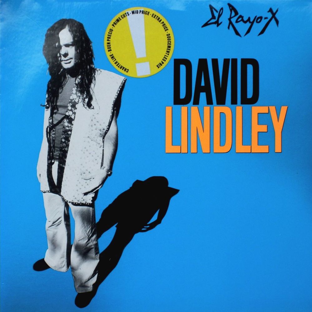 She Took Off My Romeos by David Lindley