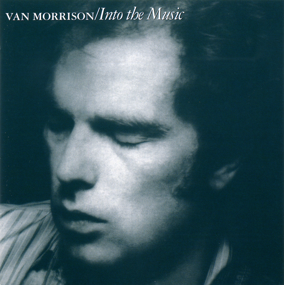 Cover image for Into the Music