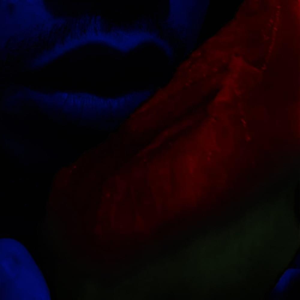 Album cover art for "watermelon" by pdr dax & Jori_cm