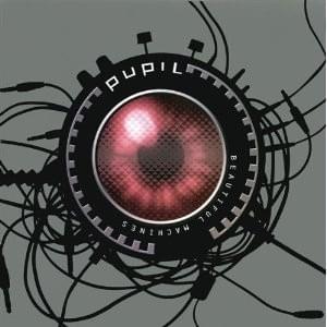 Album cover art for "Blow Your House Down" by Pupil