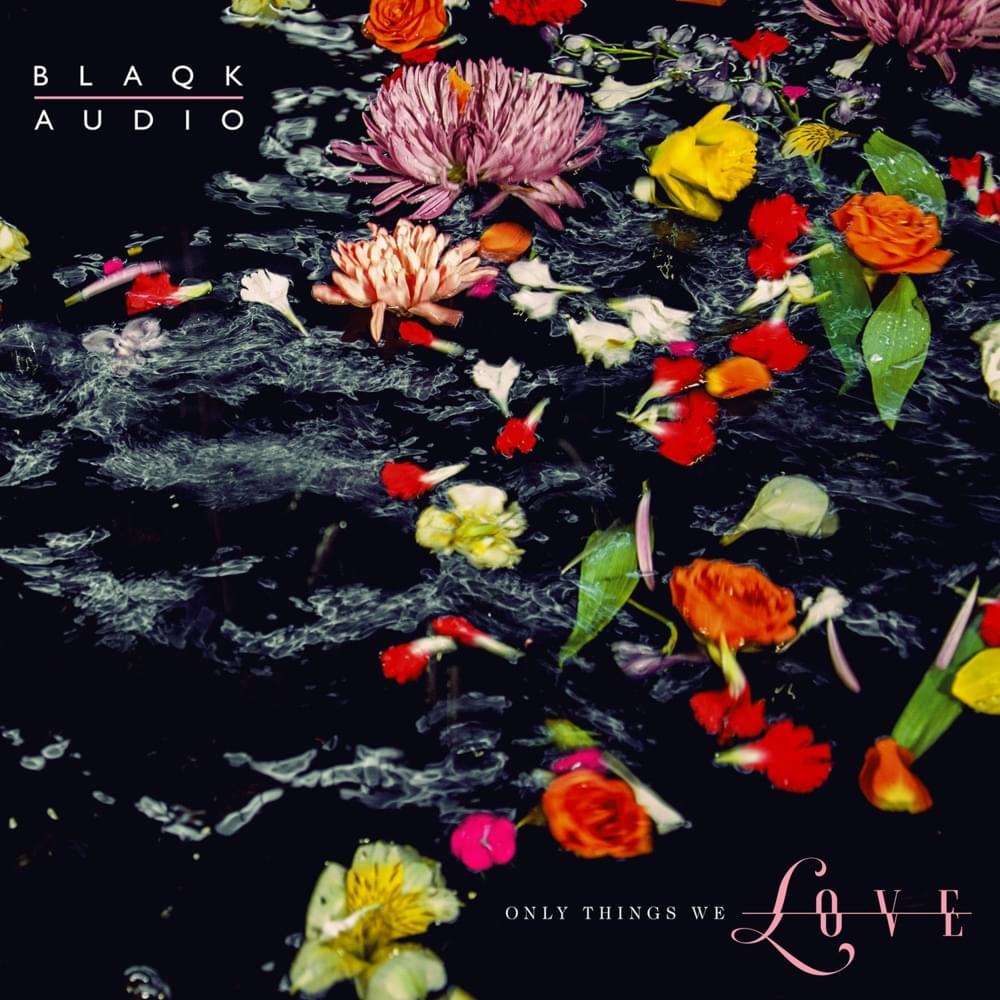 Muscle and Matter by Blaqk Audio