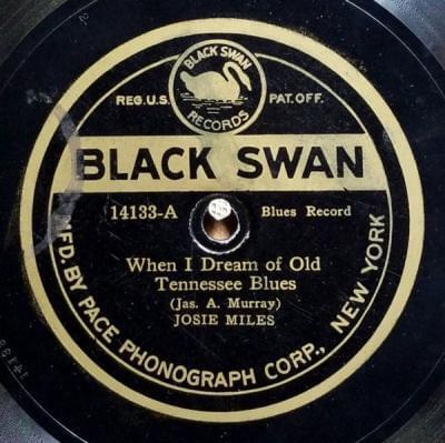 When I Dream Of Old Tennessee Blues by Josie Miles