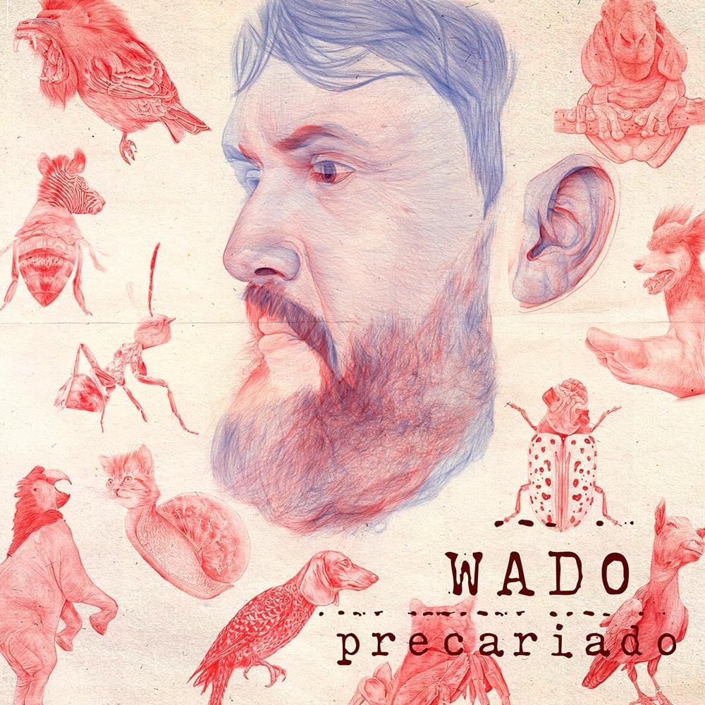 Tudo Salta by Wado