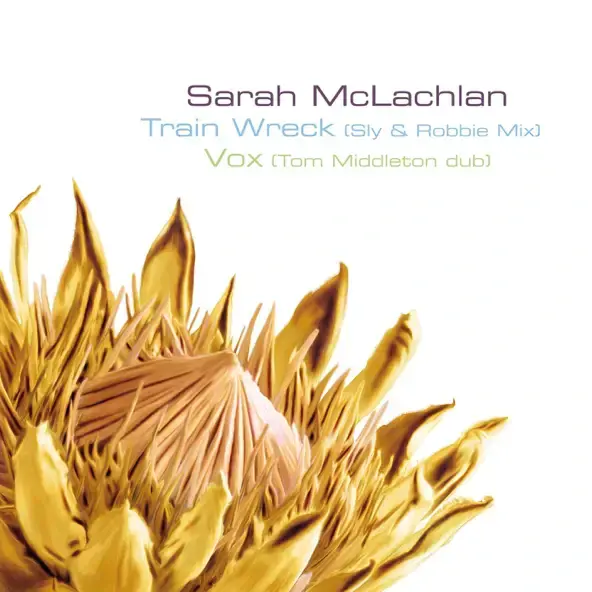 Album cover art for "Train Wreck (Sly & Robbie Mix)" by Sarah McLachlan