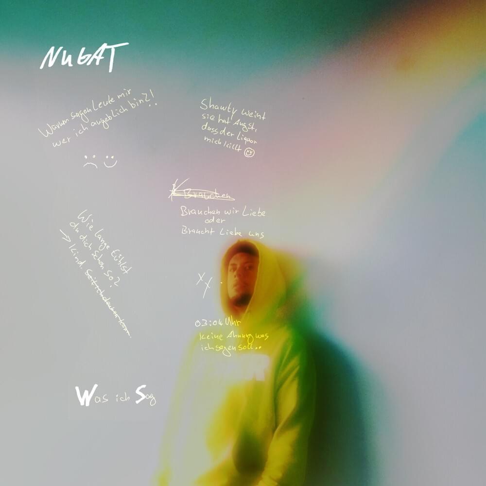 Cover image for was ich sag