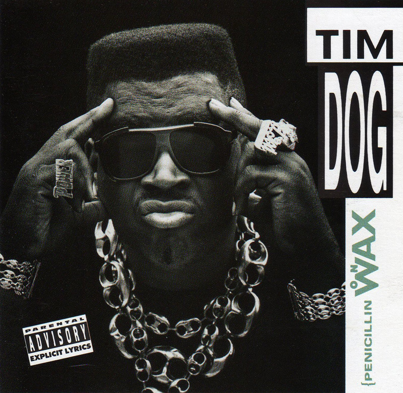 Bronx Nigga by Tim Dog