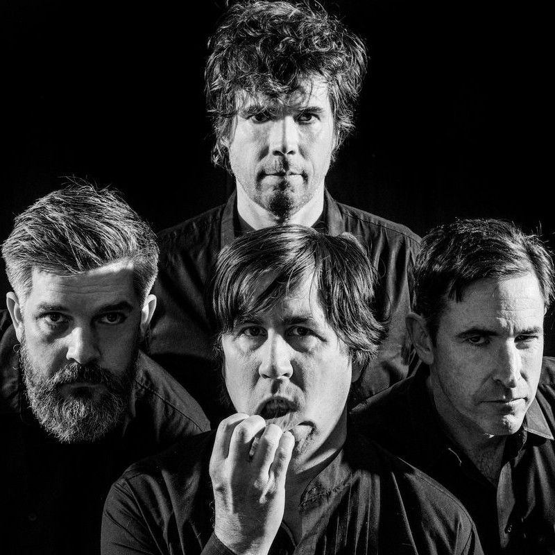 Cover image for The Mountain Goats