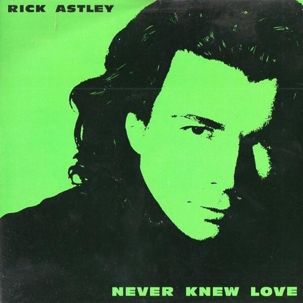 Cover image for Never Knew Love - Single