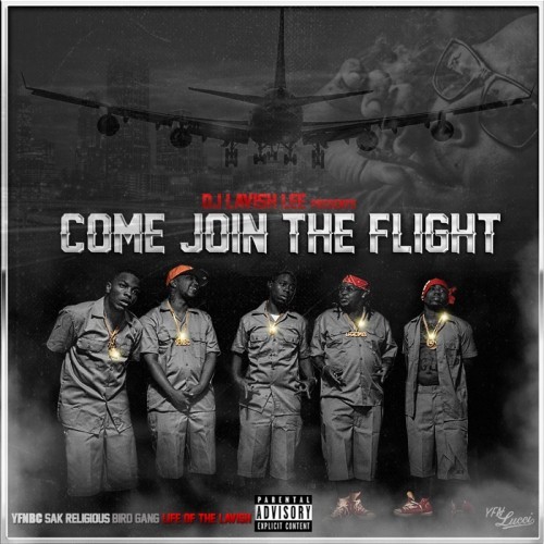 Cover image for Come Join the Flight
