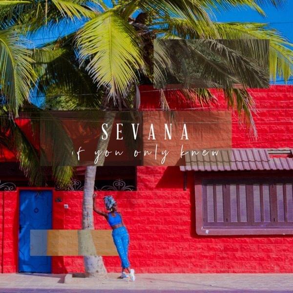 If You Only Knew by Sevana
