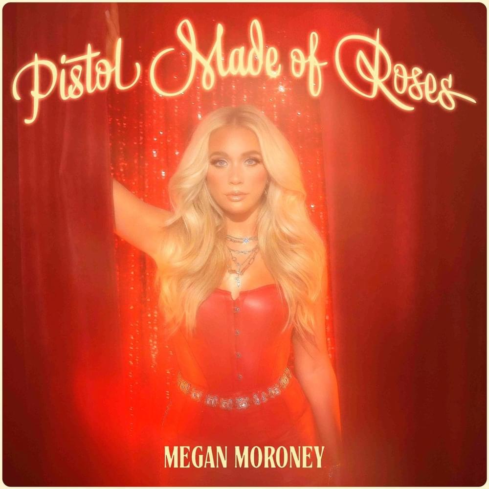 Cover image for Pistol Made of Roses