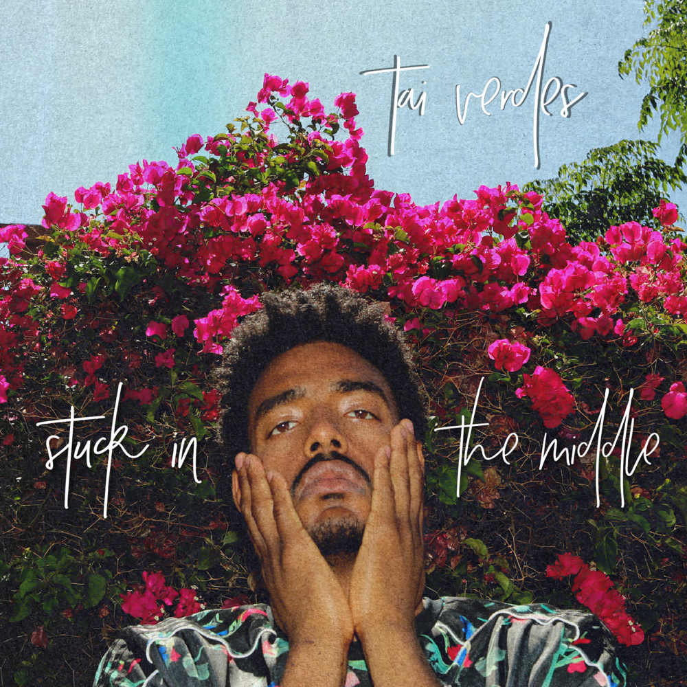 Stuck in the Middle by Tai Verdes