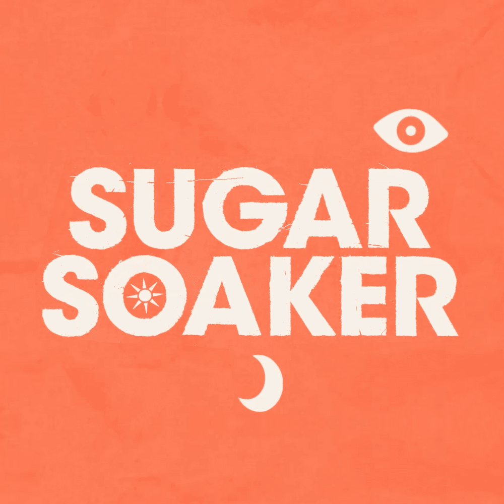 Album cover art for "Sugar Soaker" by Panic! at the Disco