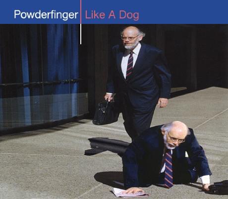 Album cover art for "Like A Dog" by Powderfinger