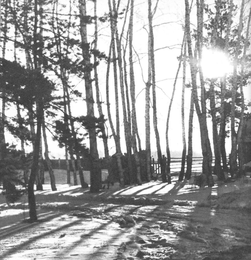 Album cover art for "Far Away from the City" by Motorama