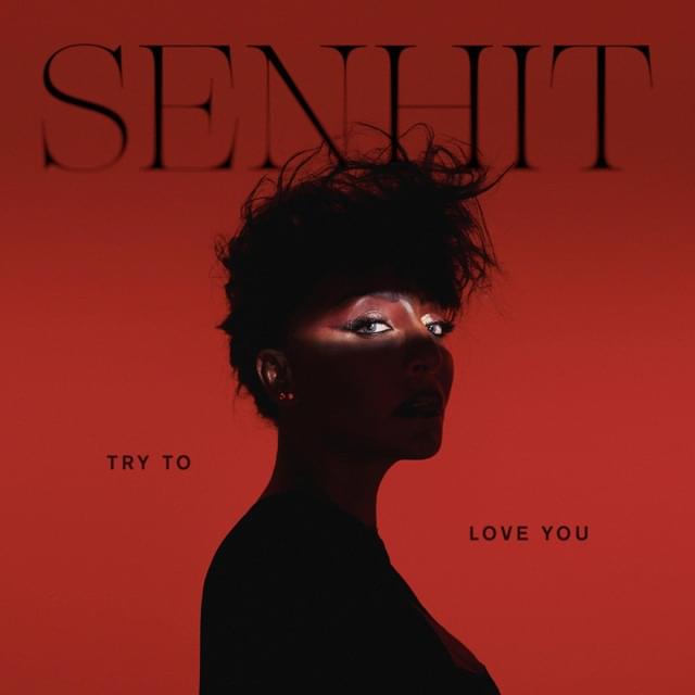 Album cover art for "Try To Love You" by Senhit