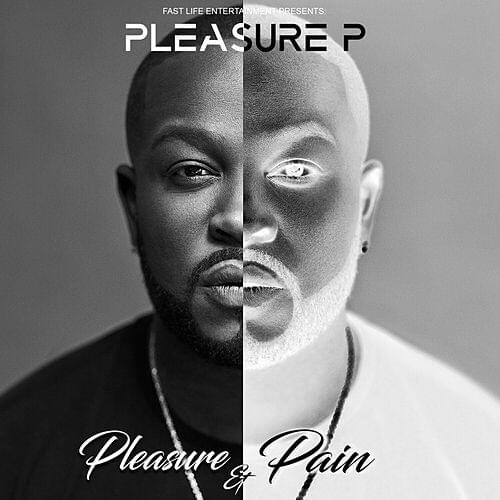 Cover image for Pleasure and Pain