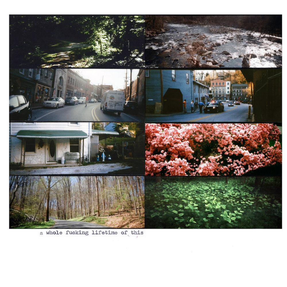 ​all the lonely nights in your life by American Pleasure Club