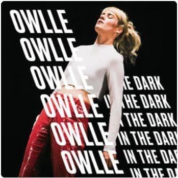 Album cover art for "In the Dark" by Owlle