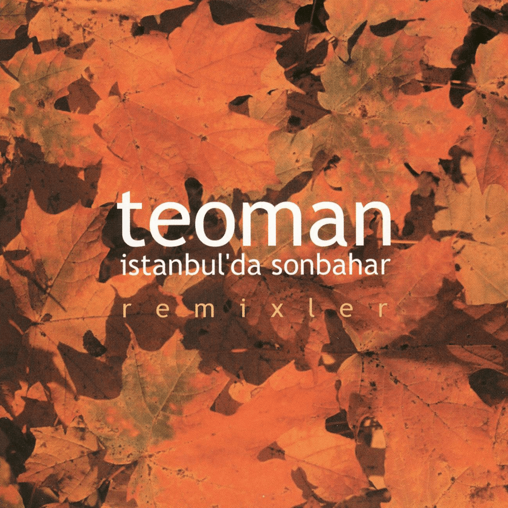 İstanbul’da Sonbahar by Teoman