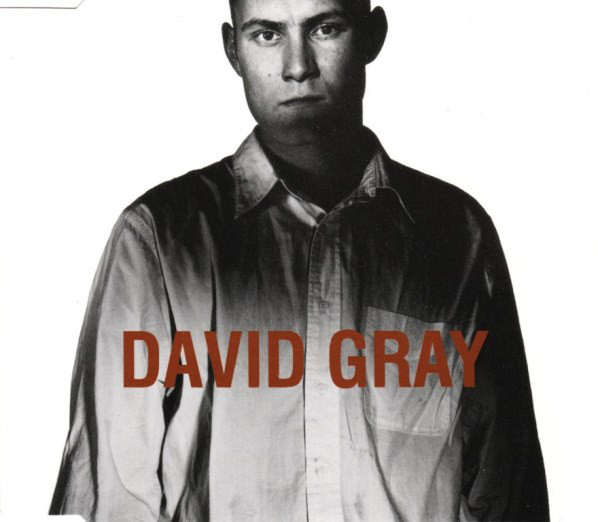 Album cover art for "Birds Without Wings" by David Gray