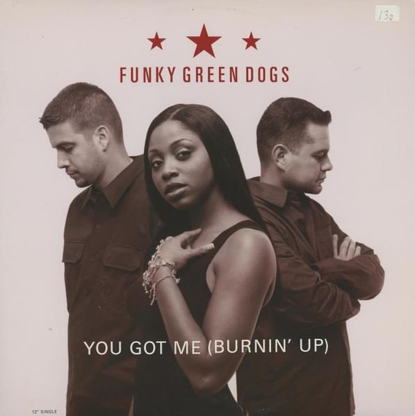 You Got Me (Burnin’ Up) by Funky Green Dogs