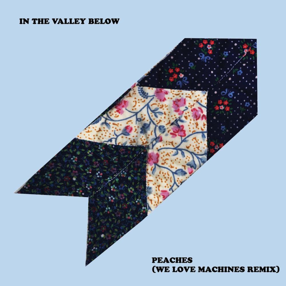 Album cover art for "Peaches (We Love Machines Remix)" by In the Valley Below