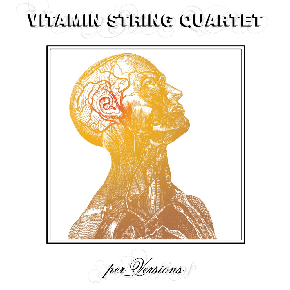 Cover image for Per_Versions