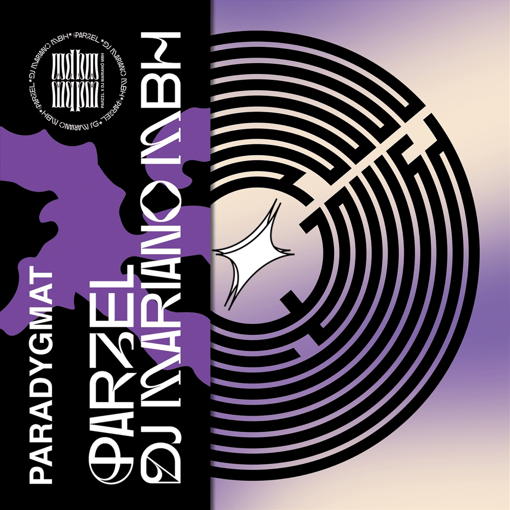 Cover image for Paradygmat