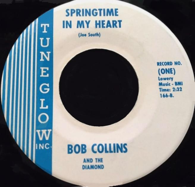 Album cover art for "Springtime in My Heart" by Bob Collins and the Diamond
