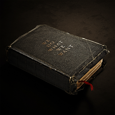 Album cover art for "You Wanted It" by Emery