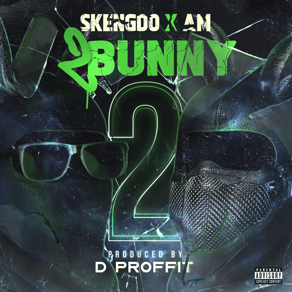 Cover image for 2 Bunny 2