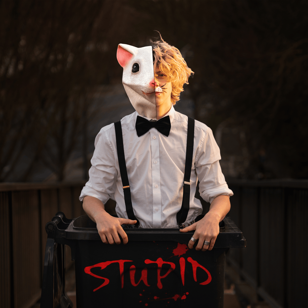 STUPID by NOAHFINNCE