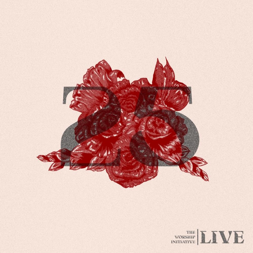 Cover image for The Worship Initiative, Vol. 25 (Live)