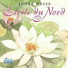 Album cover art for "Tropical" by Joost Weiss
