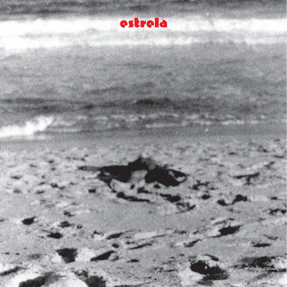 Album cover art for "Composição" by Nando Reis