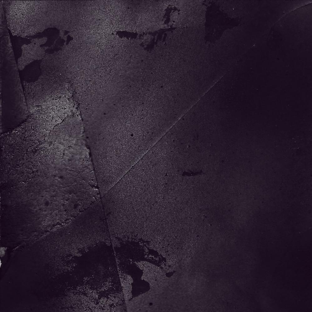 Album cover art for "Leaves Will Bloom Long After We Are Gone" by Planning For Burial