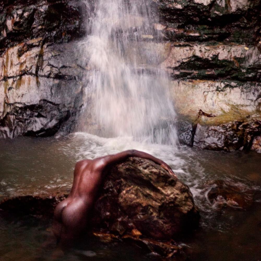 Album cover art for "Two Dogs" by Moses Sumney