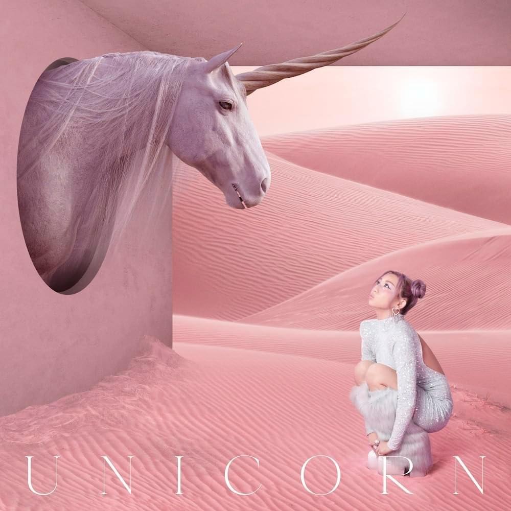 Cover image for UNICORN