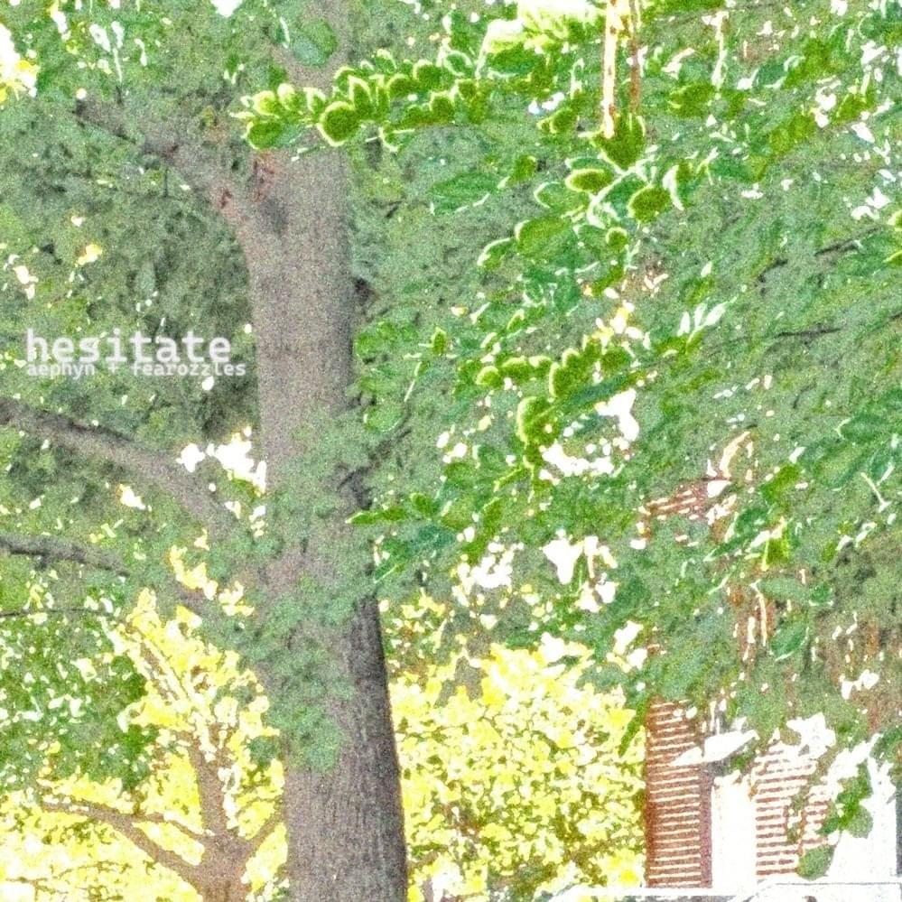 Cover image for hesitate