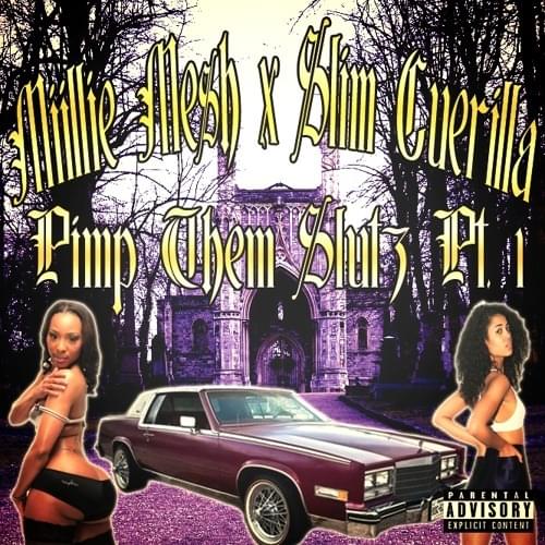 PimpDemSluts by Slim Guerilla