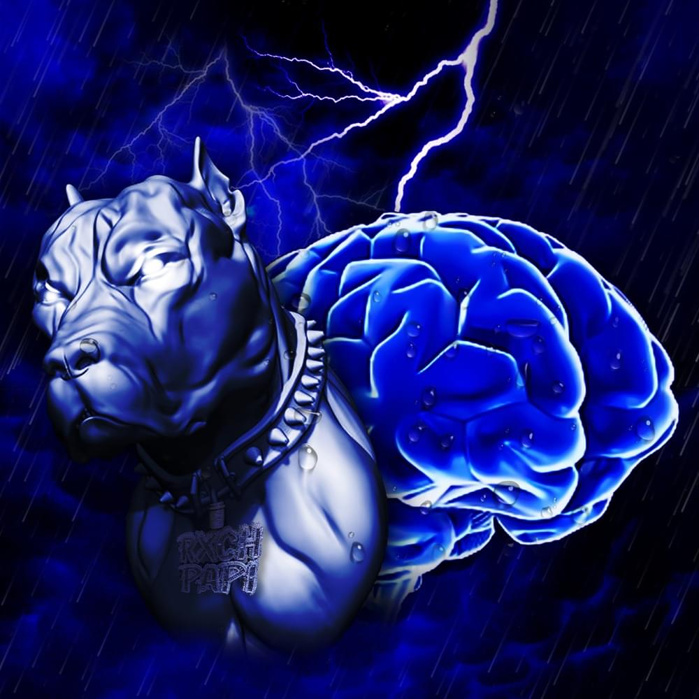 Cover image for Dawg Storm
