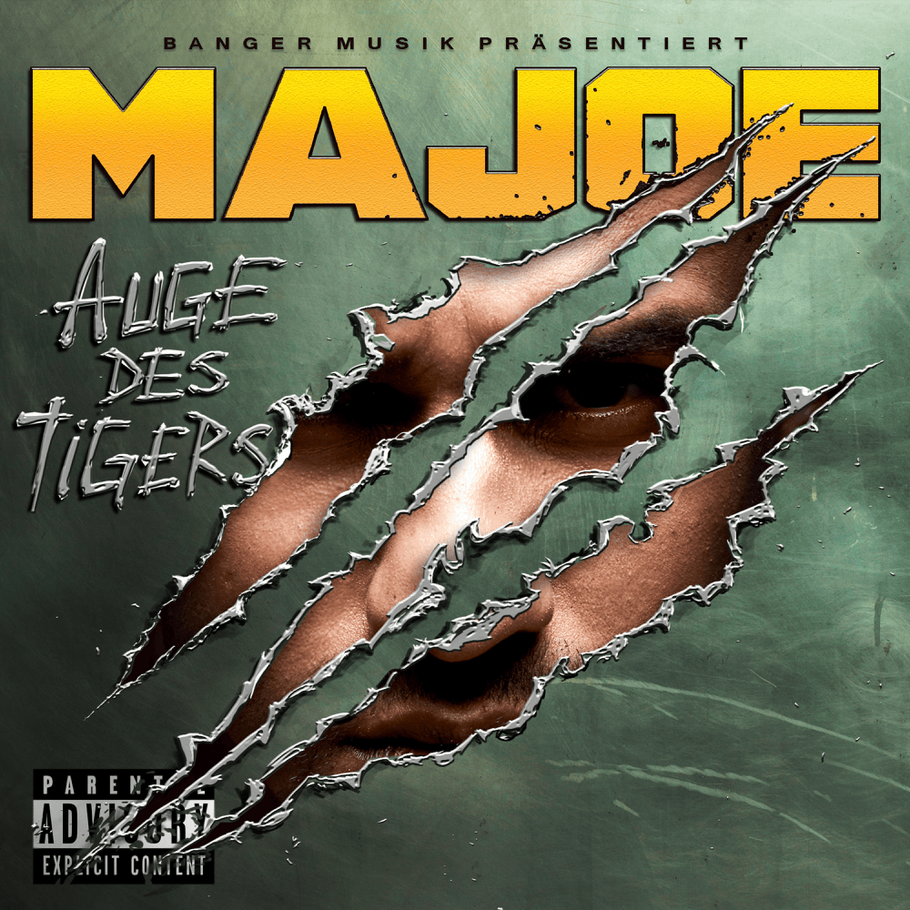 Cover image for Auge des Tigers