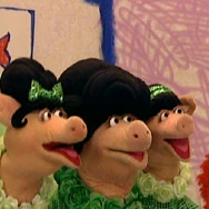 The Oinker Sisters Profile Picture Photo of The Oinker Sisters