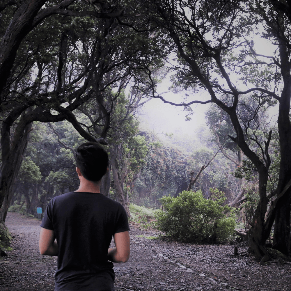 Album cover art for "Forest Walk (Instrumental)" by Jordy Chandra