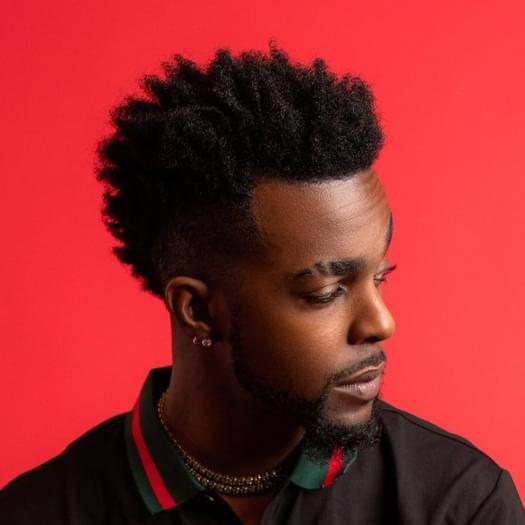 Cover image for Roscoe Dash