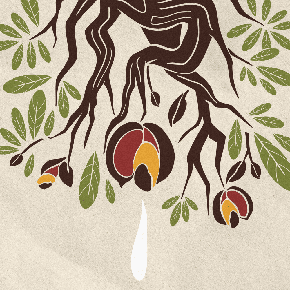 Album cover art for "O Cerrado Ameaçado" by Alexandre Carlo