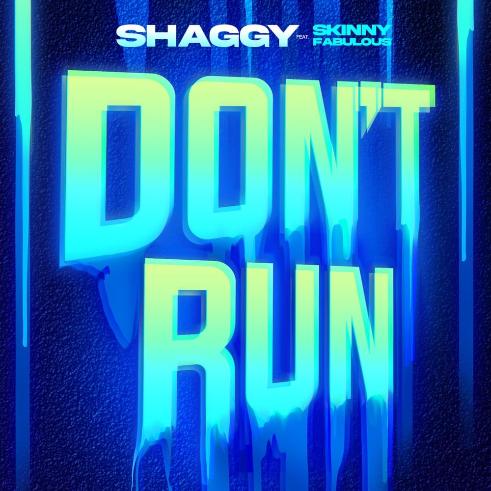 Album cover art for "Don’t Run" by Shaggy